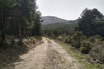 camino junto al Pelagallinas